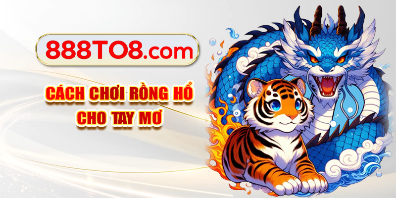 Cách chơi rồng hổ cho tay mơ